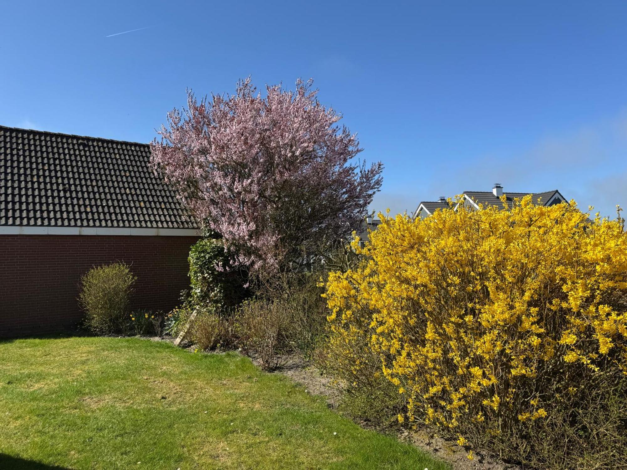 Haus Nordstrand Büsum Pokoj fotografie