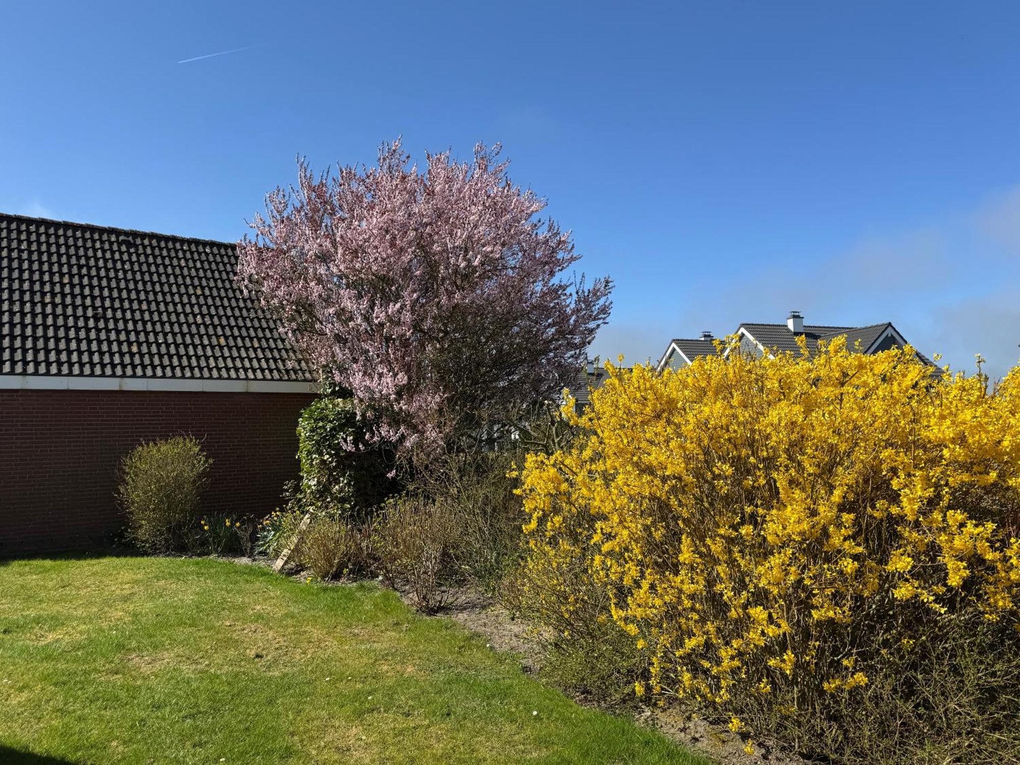 Haus Nordstrand Büsum Exteriér fotografie